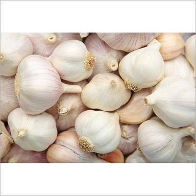 Preserved Fresh Garlic