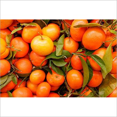 Fresh Orange Origin: India