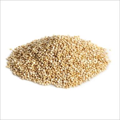 Organic Quinoa Seeds Purity: 99%