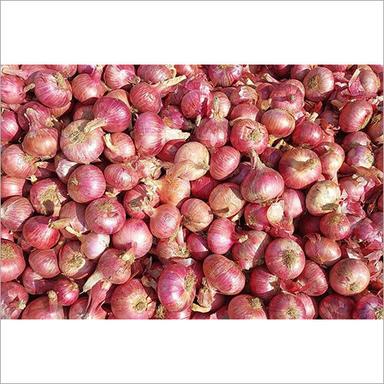 Fresh Onion Shelf Life: 7 Days