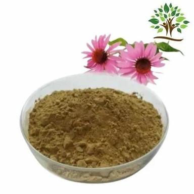 Herbal Product Echinacea Extract