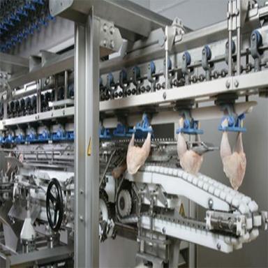 Automatic Industrial Poultry Processing Line