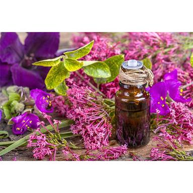 Clary Sage Oil Purity: 99%