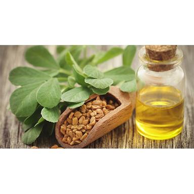 Aditi Essentials Fenugreek Oil Purity: 99%