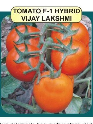 Tomato F1 Seeds Weight: 10 Grams (G)