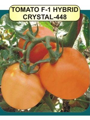 Tomato F1 Seeds Weight: 10Gm Per Pack Grams (G)