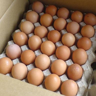 Brown Poultry Eggs Egg Origin: Chicken