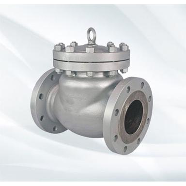 Swing Check Valve Application: Industrial
