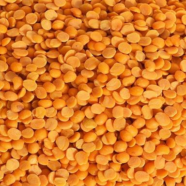 Common Toor Dal