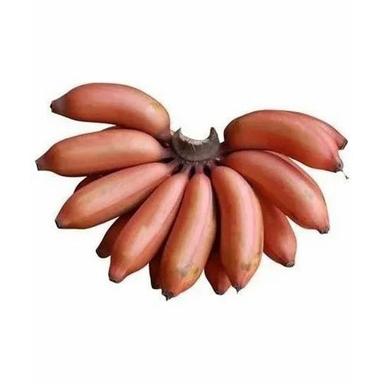 Elongate Red Banana