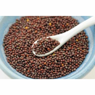 Brown Mustard Seeds For Farming