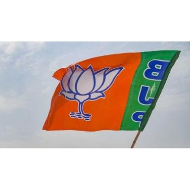 Election Promotional Flag Size: As Per Requirement