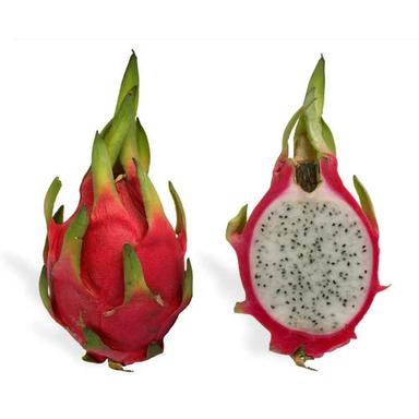 Herbal Product Dragon Fruit Extract Powder