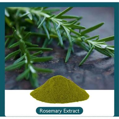 Rosemary Extract Powder Ingredients: Herbs