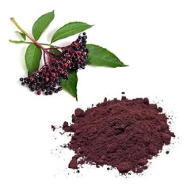 Herbal Product Elderberry Extract Powder