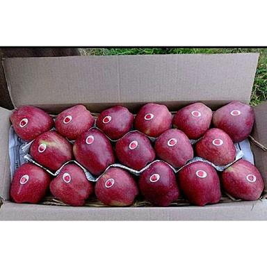 Common Royal Red Apple