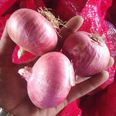 Fresh Red Onions Moisture (%): Nil