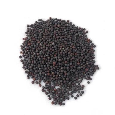 Common Mustard Seeds