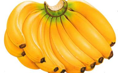Cavendish Banana Origin: India