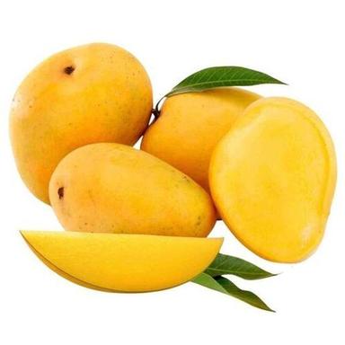 Fresh Mango Origin: India