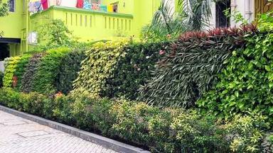 Green And Mixed Vertical Garden