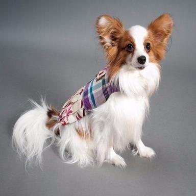 Fashionable Cotton Pet Dress Application: Dog