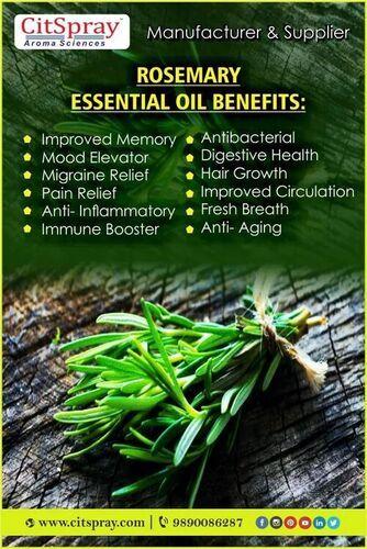 pure organic Rosemary Oil