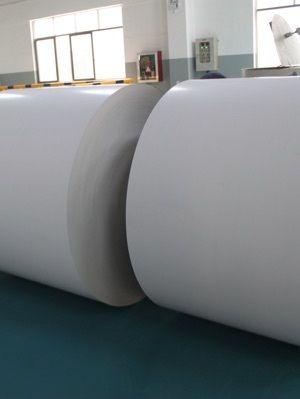 Natural Shade White Pe Coated Cup Stock Paper