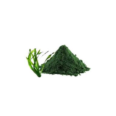 Dried Spirulina Powder