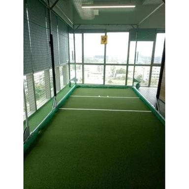 Easy To Clean Professional Artificial Cricket Turf