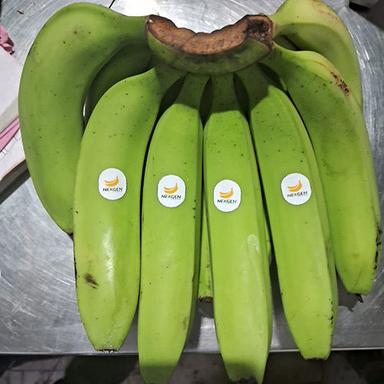 Common Green Banana
