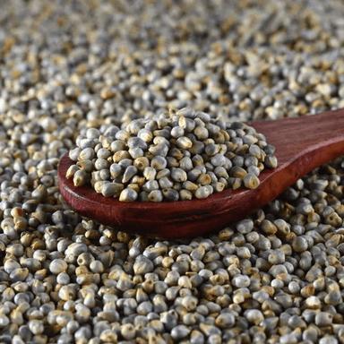 Grey 50 Kg Pearl Millet Seed