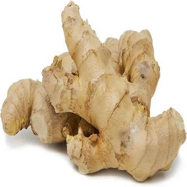 Fresh Ginger Dry Place