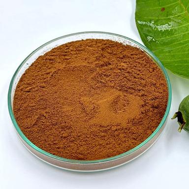 30% Polyphenols Psidium Guajava Guava Leaf Dry Extract Powder