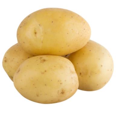 Fresh Potato Moisture (%): 85%