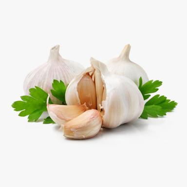 Fresh Garlic Moisture (%): 69%