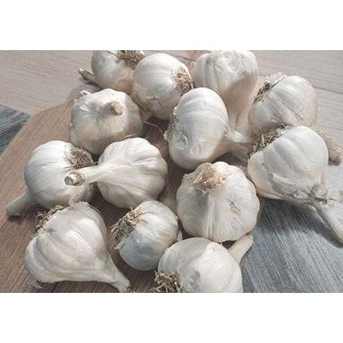 Fresh Garlic Moisture (%): Nil