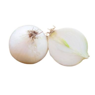 Fresh White Onion Moisture (%): Nil