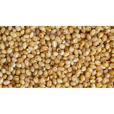Normal Foxtail Millets