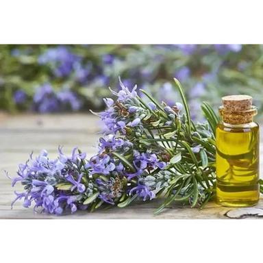 Rosemary Essential Oil Age Group: All Age Group