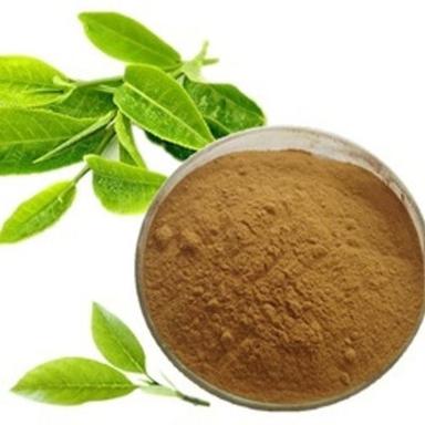 Green Tea Extract Powder Grade: First Class