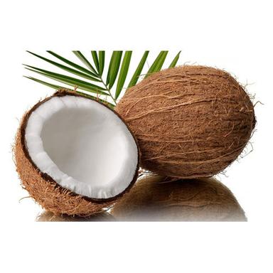 Common Semi Husked Coconut