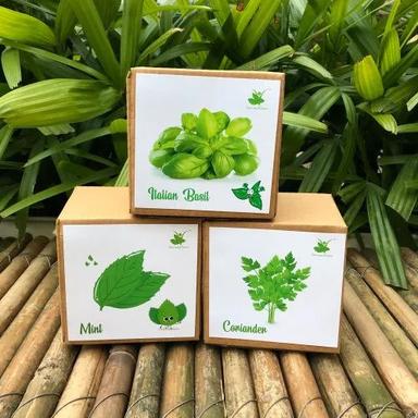 Multicolor Mint Coriander Italian Basil Gardening Herb Seed Starter Plant Grow Kits