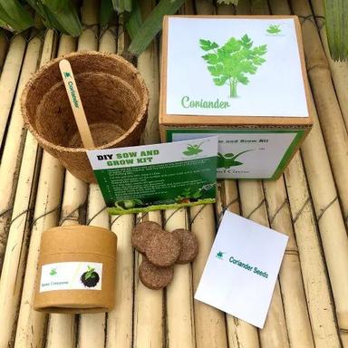 Brown Diy Coriander Dhaniya Gardening Seed Starter Grow Kit