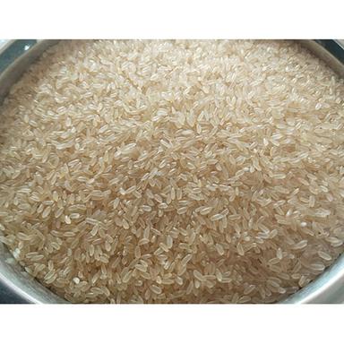 Common Boiled Rice