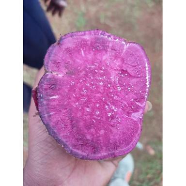 Purple Sweet Potato Moisture (%): Nil