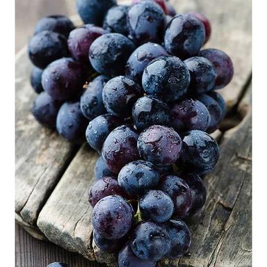 Common Frozen Black Grapes