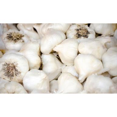 Garlic Bulbs Moisture (%): Nil