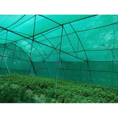 Green Shed Net Greenhouse Size: Large