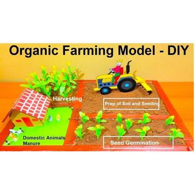 As Per Requiremnt Organic Farming Project Model